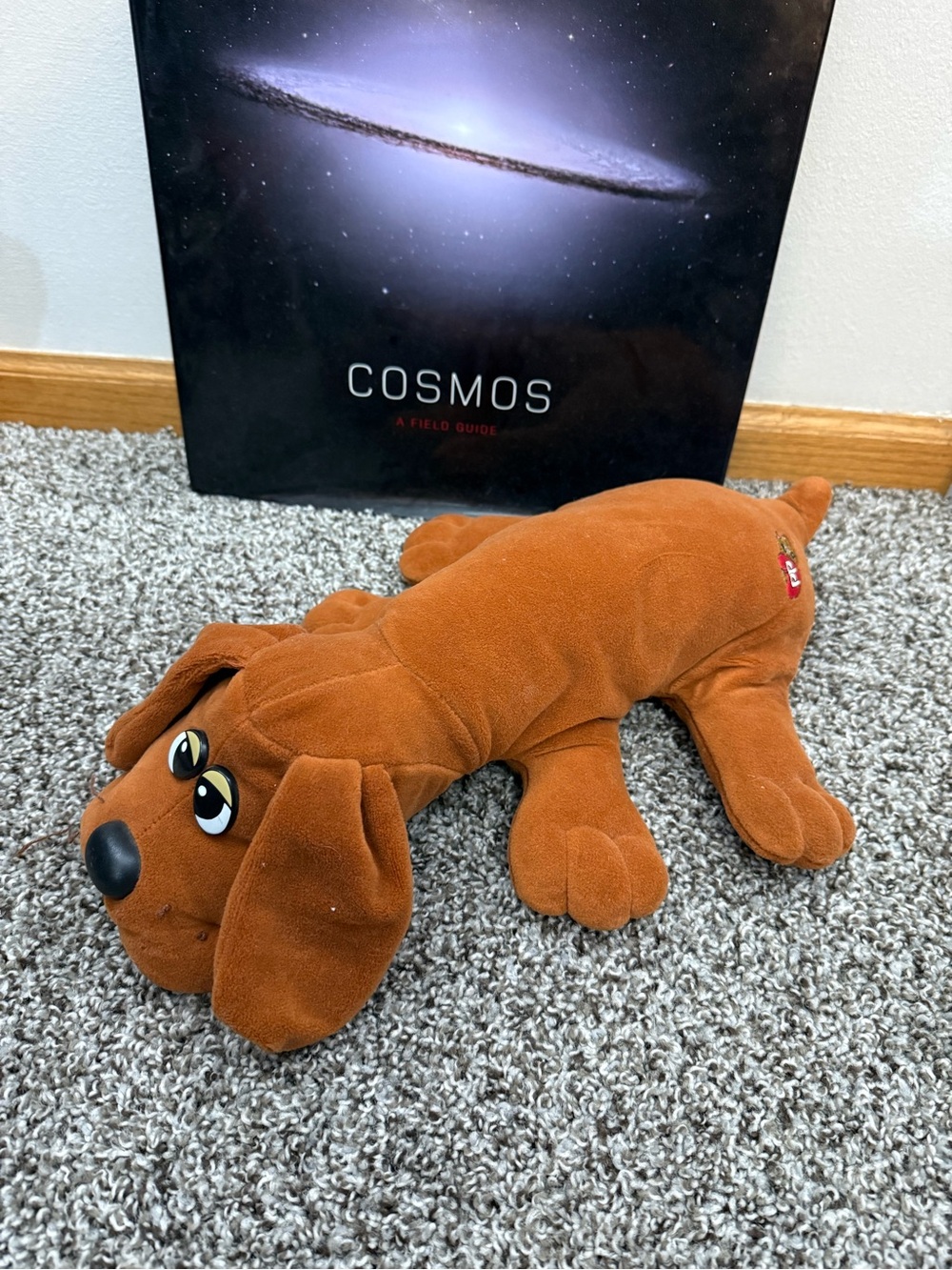 VINTAGE 1985 POUND PUPPY - MADE IN KOREA (EARLY PRODUCTION)